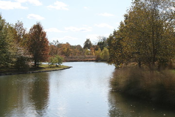 From Picnic Island Forest Park Fall 2019 I