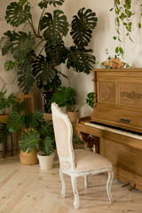 brown piano. a piano and a chair. piano and winter garden of flowers