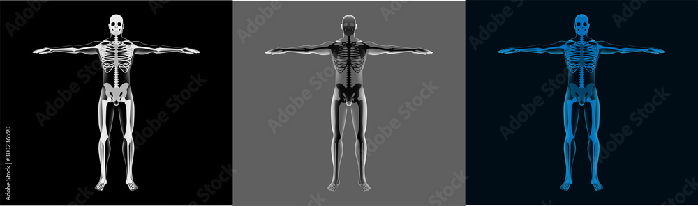Poster x-ray human body set. a transparent body with a skeleton is perfect for demonstration. healthcare 3d