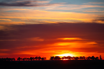 Fototapeta premium Tree silhouettes agains a colorful sunset