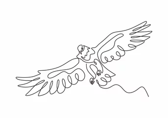 Foto op Plexiglas Continuous one line drawing of eagle or hawk bird vector, Illustration minimalism birds flying on the sky. Concept of freedom animal hand drawn sketch design. Simplicity style. © ngupakarti