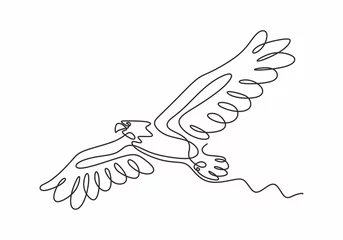 Tuinposter Continu een lijntekening van adelaar of havik vogel vector, illustratie minimalisme vogels vliegen in de lucht. Concept van vrijheid dier hand getrokken schets ontwerp. Eenvoud stijl. © ngupakarti