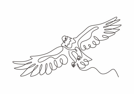 Continuous one line drawing of eagle or hawk bird vector, Illustration minimalism birds flying on the sky. Concept of freedom animal hand drawn sketch design. Simplicity style.