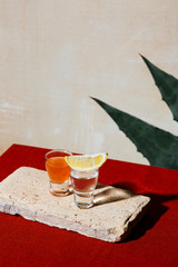 Tequila and sangrita shots; agave leaves; mexican flag colors