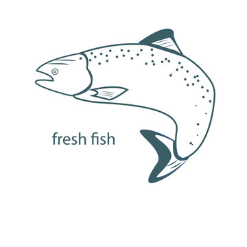 tuna fish vector, Seafood logo and Always Fresh
