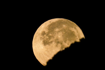 西の山の端に沈んでゆく月DSC5880