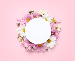 Flat lay composition with beautiful chamomile flowers and blank card on pink background. Space for text