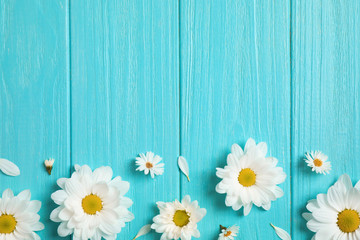 Beautiful chamomile flowers on light blue wooden background, flat lay. Space for text