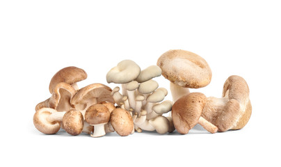 Fresh wild mushrooms on white background. Edible fungi