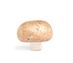 Fresh wild mushroom on white background. Edible fungi