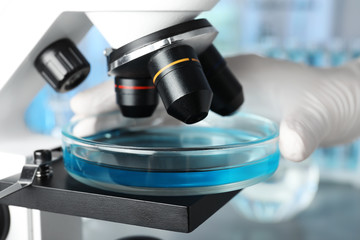 Scientist putting Petri dish with liquid under microscope, closeup. Laboratory analysis