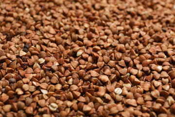 Uncooked organic buckwheat grains as background, closeup