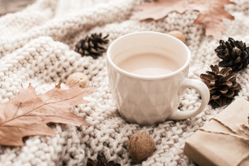 Obraz na płótnie Canvas Cup of cocoa, nuts, glasses, dried autumn leaves on sweater background. Autumn composition.