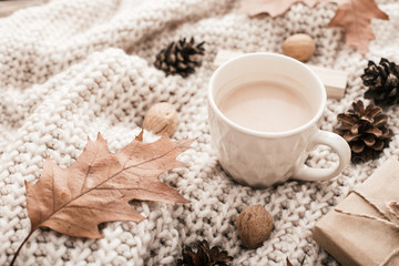 Fototapeta na wymiar Cup of cocoa, nuts, glasses, dried autumn leaves on sweater background. Autumn composition.