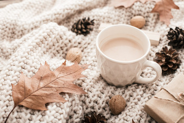 Cup of cocoa, nuts, glasses, dried autumn leaves on sweater background. Autumn composition.