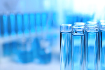 Test tubes with liquid samples for analysis in laboratory, closeup. Space for text