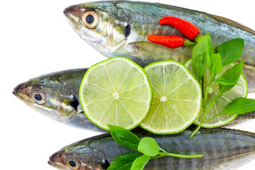 Fresh fish with lemon and leaf isolated on white background,concept cooking background