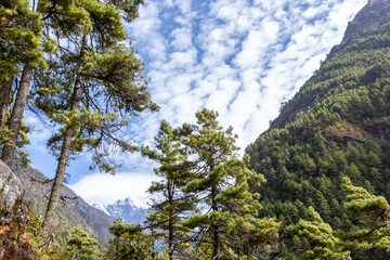 Trekking Everest Base Camp. Nepal.