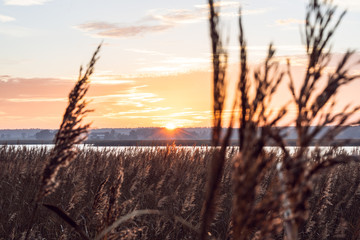 Sun setting over the Baltic sea during the late Autumn and early Spring season.  - obrazy, fototapety, plakaty