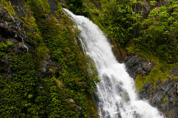 Obraz na płótnie Canvas waterfall in the forest