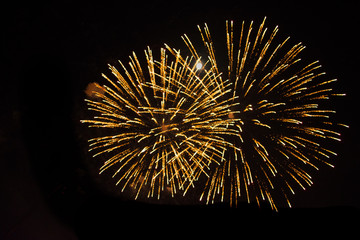 Fototapeta premium fireworks in the sky