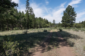 View from the Largo trail, New Mexico.