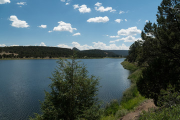 Obraz premium Quemado Lake, N.M., north shore vista.