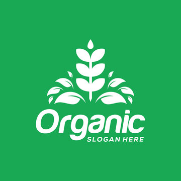 Organic Wheat Grain Agriculture logo, Wheat logo symbol or icon template