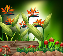 Background scene with nature theme