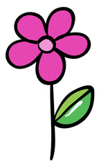 Single flower in pink color