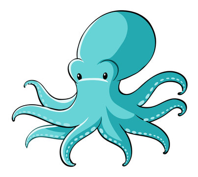 Blue octopus on white background