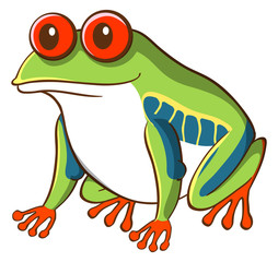 Green frong with red eyes on white background