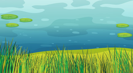 Fototapeta na wymiar Background scene with grass and pond