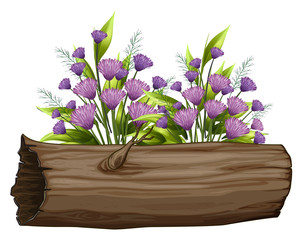 Flowers and wooden log on white background