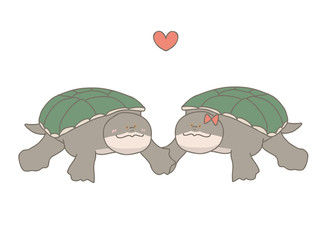 ハラガケカメのカップル