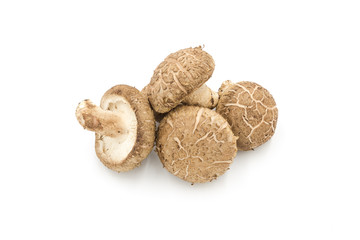 Close up of fresh mushroom pile isolated on white background