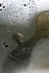 Bubbles in white foam macro background fifty megapixels high quality prints