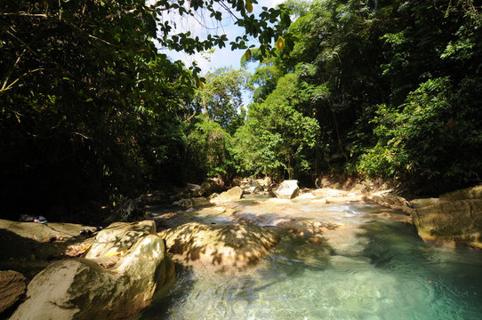 Driver's River Near Reach Falls In Jamaica