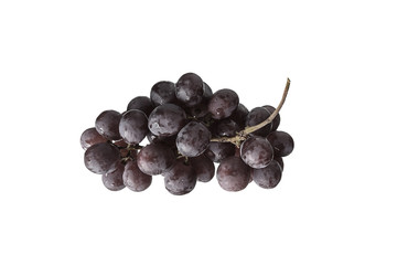 Black Grape