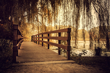 bench in the park