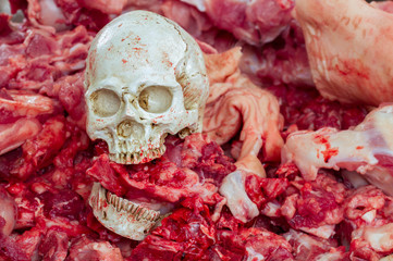 Skull on fresh meat