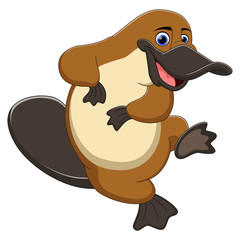 Cartoon platypus isolated on white background