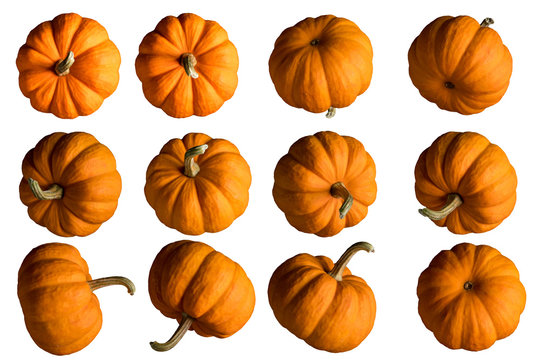 Pumpkin