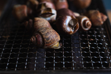Close up Spiral babylon snail grilling on rack charcoal stove. seafood bbq outdoor .