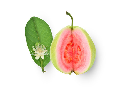 Pink guava isolated on white background