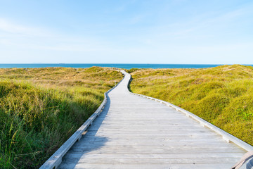 Wooden walkway through dunes to sea