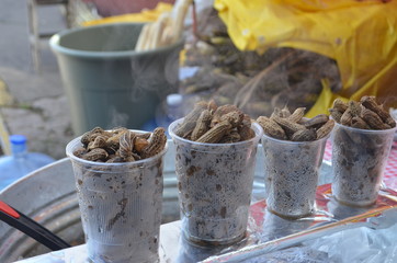 Cachuates o maníes hervidos 