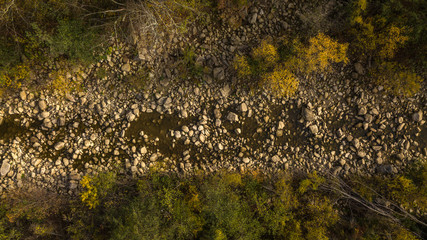 rocky bed of a mountain river in the middle of a forest that almost dried up in early autumn
