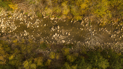 rocky bed of a mountain river in the middle of a forest that almost dried up in early autumn