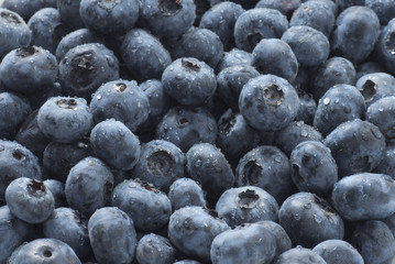 Blueberries